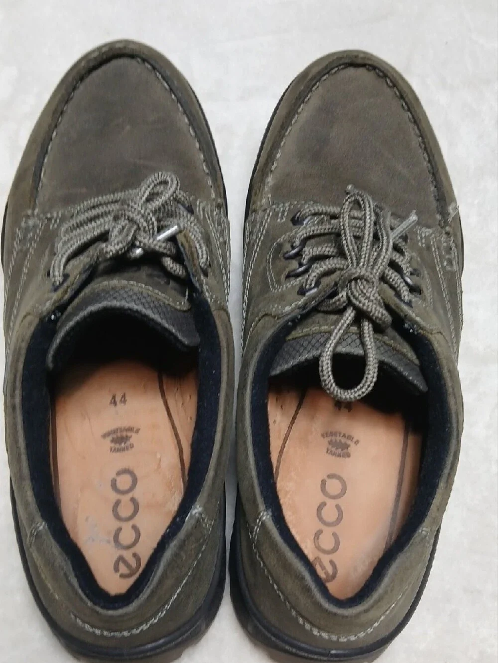 Ecco hiking gore